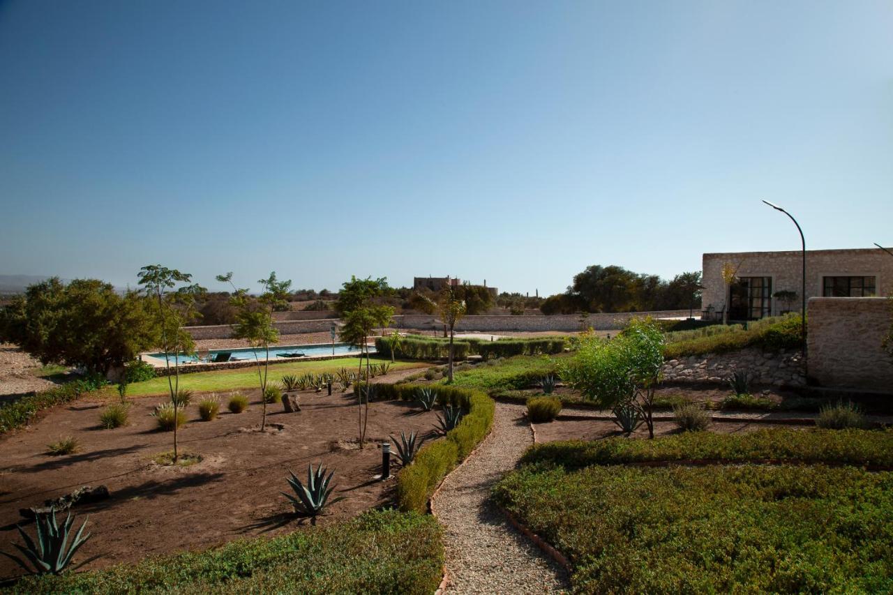 אסאוירה Tassourt Lodge מראה חיצוני תמונה